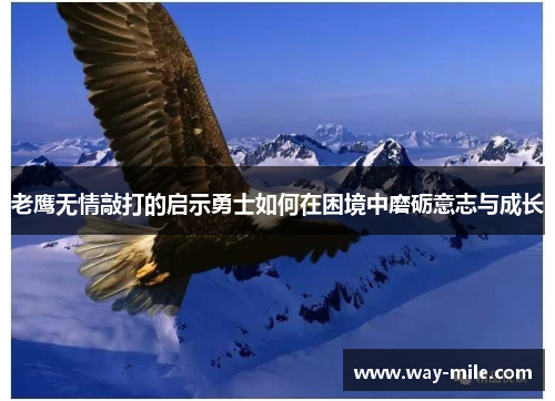 老鹰无情敲打的启示勇士如何在困境中磨砺意志与成长