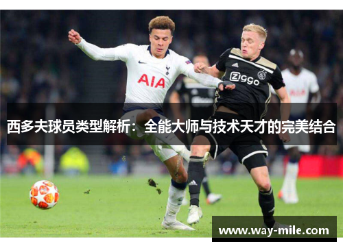 西多夫球员类型解析：全能大师与技术天才的完美结合