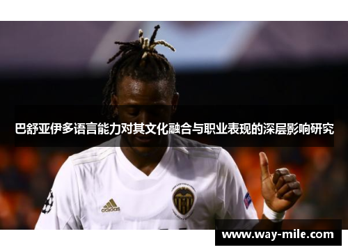 巴舒亚伊多语言能力对其文化融合与职业表现的深层影响研究