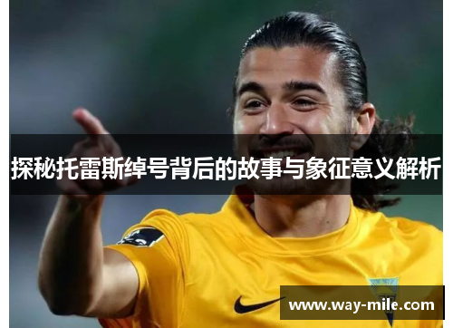 探秘托雷斯绰号背后的故事与象征意义解析