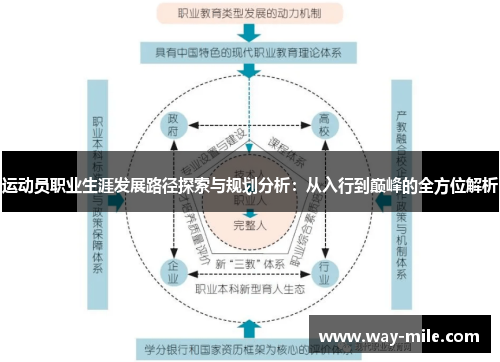 运动员职业生涯发展路径探索与规划分析：从入行到巅峰的全方位解析