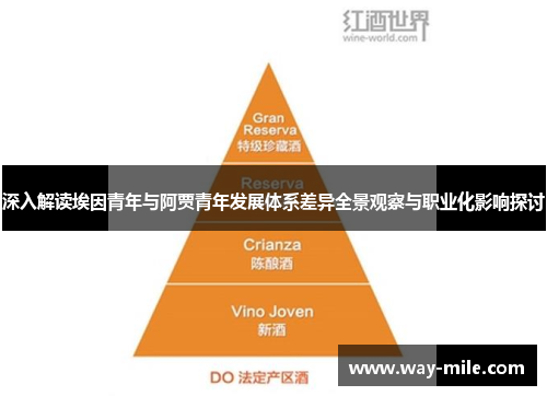 深入解读埃因青年与阿贾青年发展体系差异全景观察与职业化影响探讨