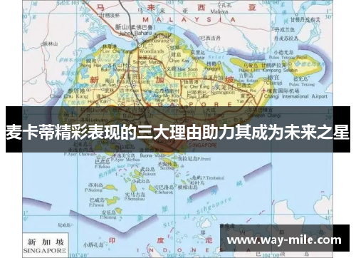 麦卡蒂精彩表现的三大理由助力其成为未来之星