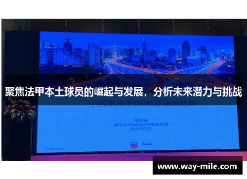 聚焦法甲本土球员的崛起与发展，分析未来潜力与挑战