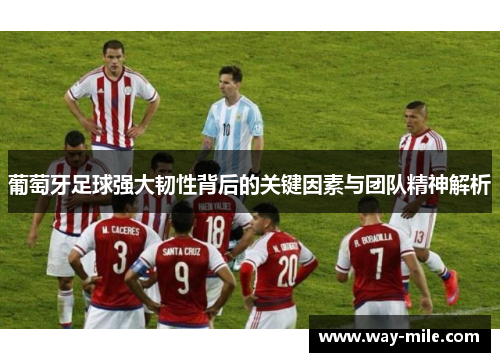 葡萄牙足球强大韧性背后的关键因素与团队精神解析