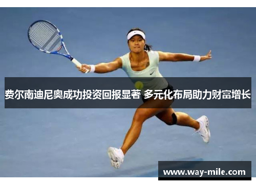 费尔南迪尼奥成功投资回报显著 多元化布局助力财富增长