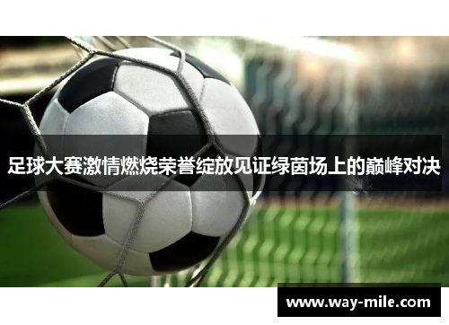 足球大赛激情燃烧荣誉绽放见证绿茵场上的巅峰对决