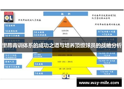 里昂青训体系的成功之道与培养顶级球员的战略分析 里昂青训体系的成功之道与培养顶级球员的战略分析