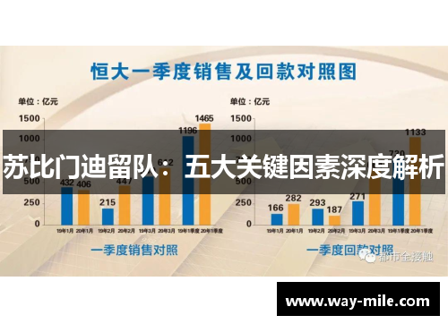 苏比门迪留队：五大关键因素深度解析