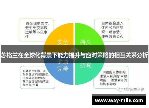 苏格兰在全球化背景下能力提升与应对策略的相互关系分析 苏格兰在全球化背景下能力提升与应对策略的相互关系分析
