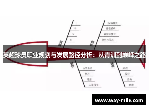 英超球员职业规划与发展路径分析:从青训到巅峰之路 英超球员职业规划与发展路径分析:从青训到巅峰之路