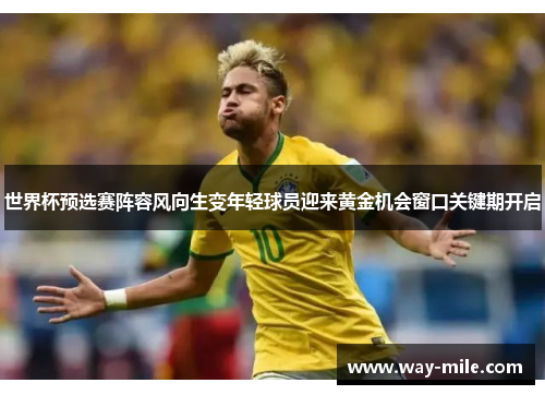 世界杯预选赛阵容风向生变年轻球员迎来黄金机会窗口关键期开启 世界杯预选赛阵容风向生变年轻球员迎来黄金机会窗口关键期开启