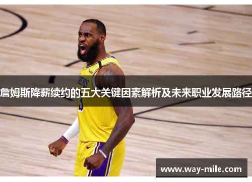 詹姆斯降薪续约的五大关键因素解析及未来职业发展路径 詹姆斯降薪续约的五大关键因素解析及未来职业发展路径