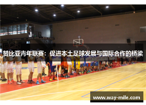 赞比亚青年联赛:促进本土足球发展与国际合作的桥梁 赞比亚青年联赛:促进本土足球发展与国际合作的桥梁