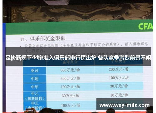 足协新规下44家准入俱乐部排行榜出炉 各队竞争激烈前景不明 足协新规下44家准入俱乐部排行榜出炉 各队竞争激烈前景不明
