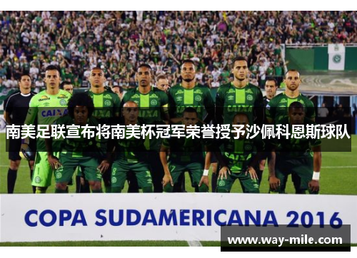 南美足联宣布将南美杯冠军荣誉授予沙佩科恩斯球队 南美足联宣布将南美杯冠军荣誉授予沙佩科恩斯球队