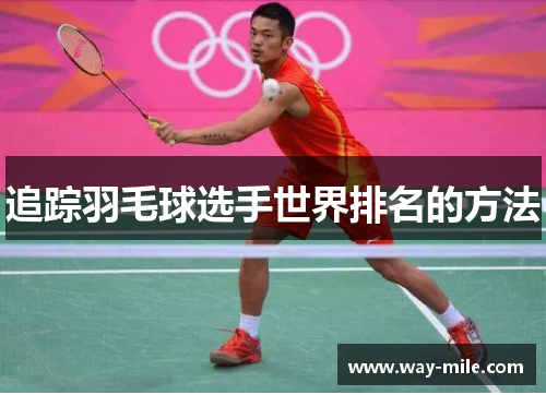 追踪羽毛球选手世界排名的方法
