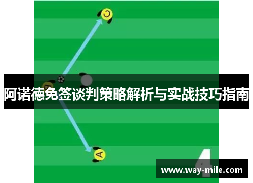 阿诺德免签谈判策略解析与实战技巧指南 阿诺德免签谈判策略解析与实战技巧指南