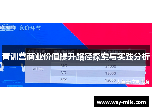 青训营商业价值提升路径探索与实践分析 青训营商业价值提升路径探索与实践分析