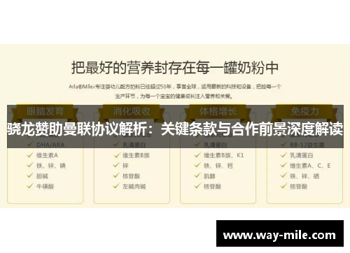 骁龙赞助曼联协议解析：关键条款与合作前景深度解读