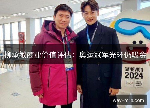 柳承敏商业价值评估:奥运冠军光环仍吸金 柳承敏商业价值评估:奥运冠军光环仍吸金